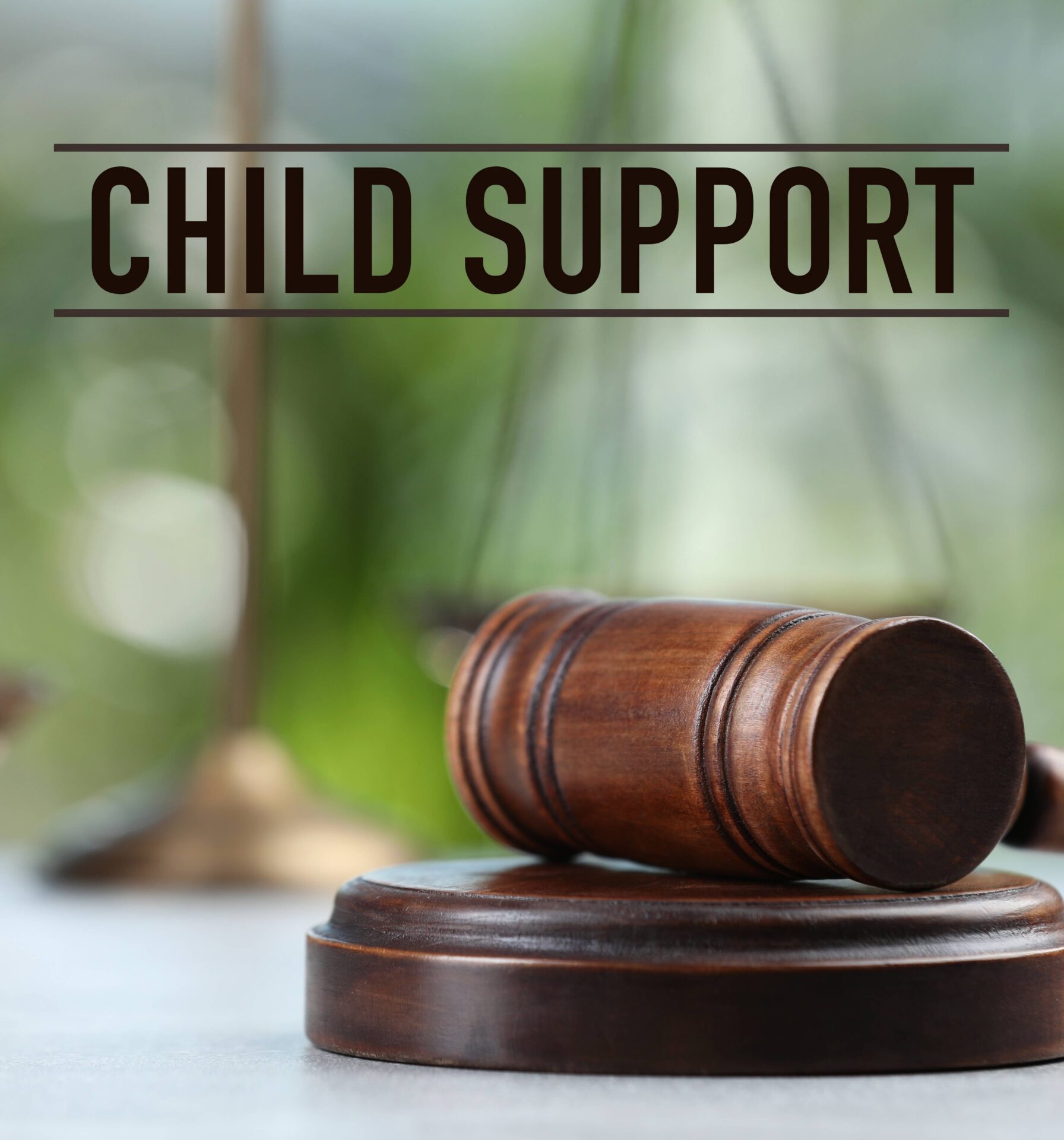 Child Support Objection